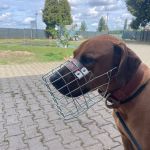 Patenschaft Tayo