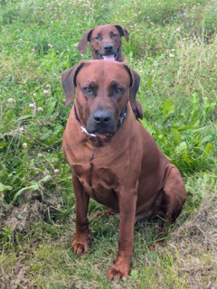 Hades und Bakira