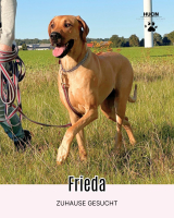 Frieda
